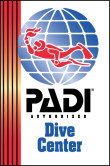 Padi Link